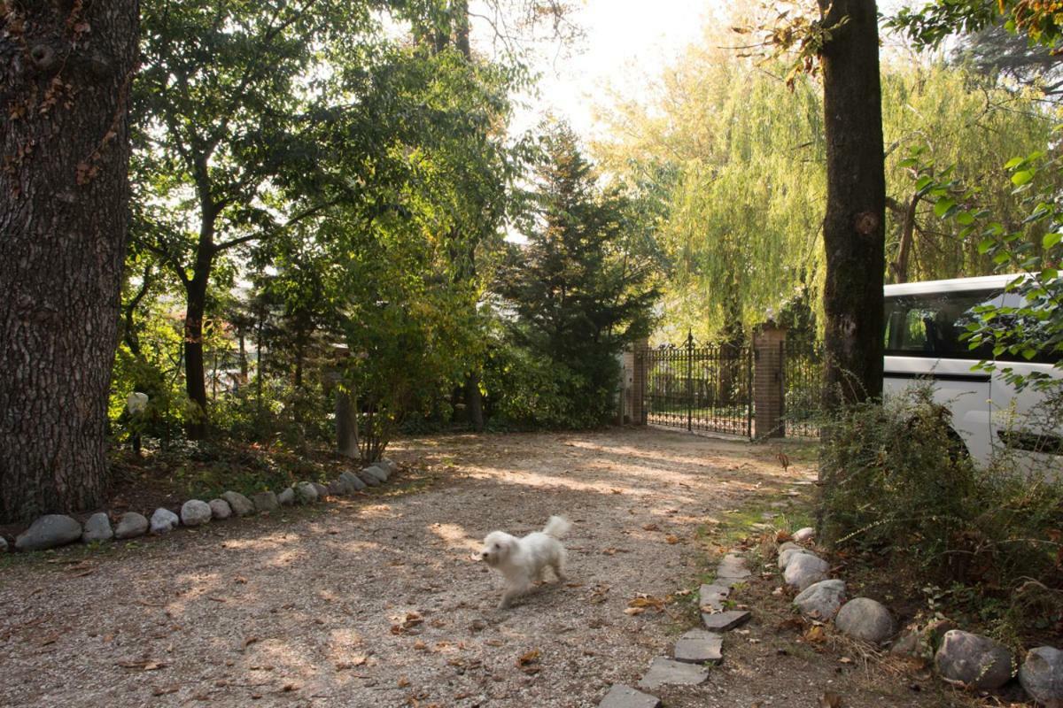 Al Parco Bed & Breakfast Curtatone Екстериор снимка